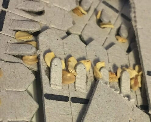 Sow Easy Seedsticks