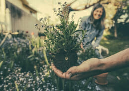 Gardening Improves Mental Health