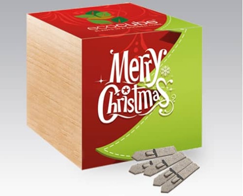 Merry Christmas Eco Cube